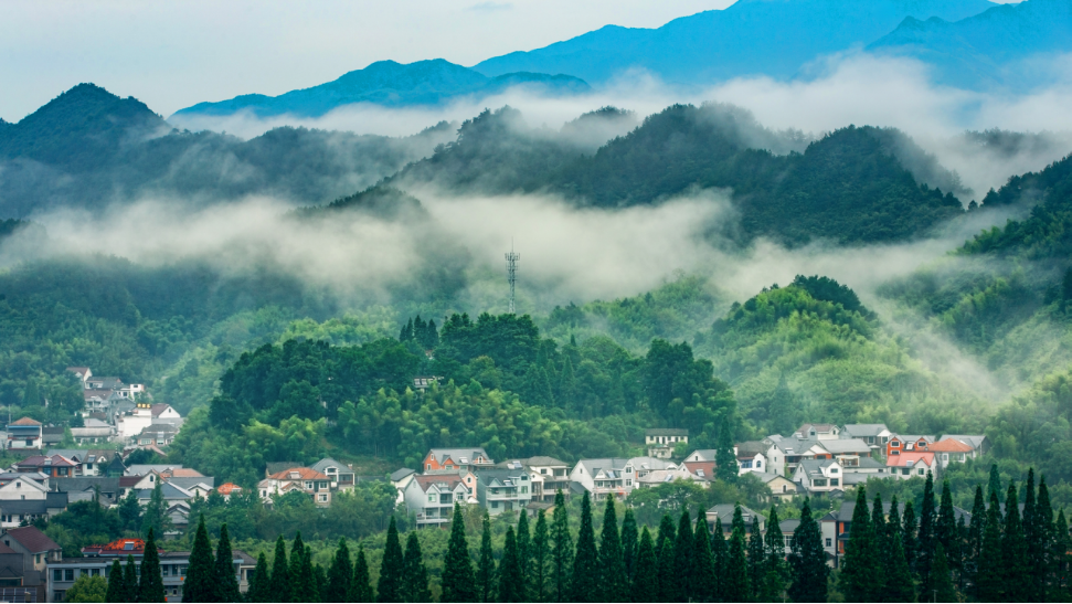 省级示范!临安这里上榜!_腾讯新闻