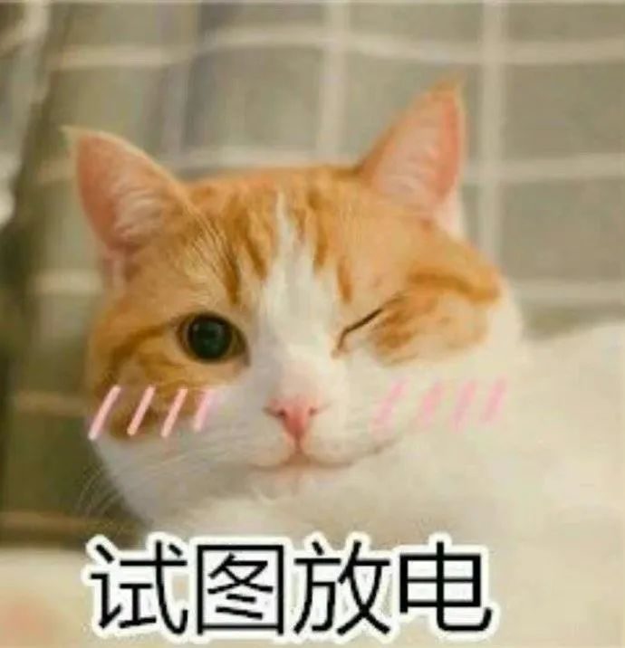 单眼皮、泪沟、凸嘴、方腮等，才是“小美女”的重中之重