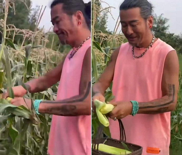 8位明星下乡干农活:60岁曹荣喂猪,赶牛,王艳带手套摘豆角_腾讯新闻