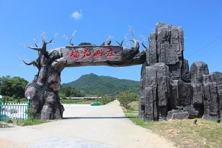 湖南乡村振兴十大案例衡阳县梅花村六条路子的乡村振兴秘诀