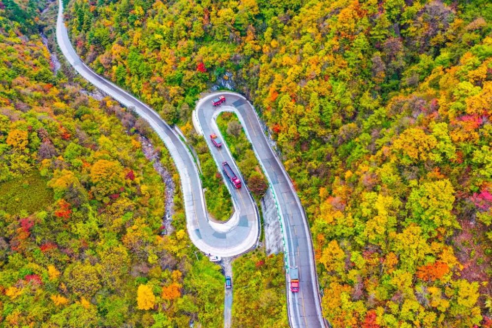 陕西最美乡村公路图片