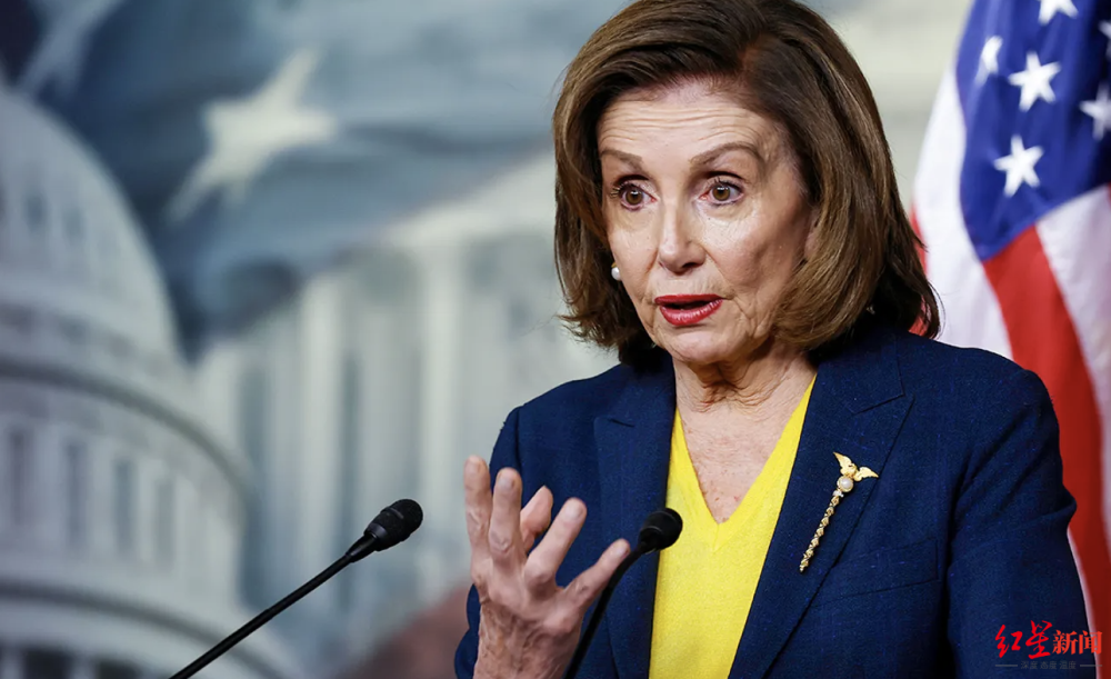 11月可能被迫丢工作,佩洛西下一步想当美国驻意大利大使?