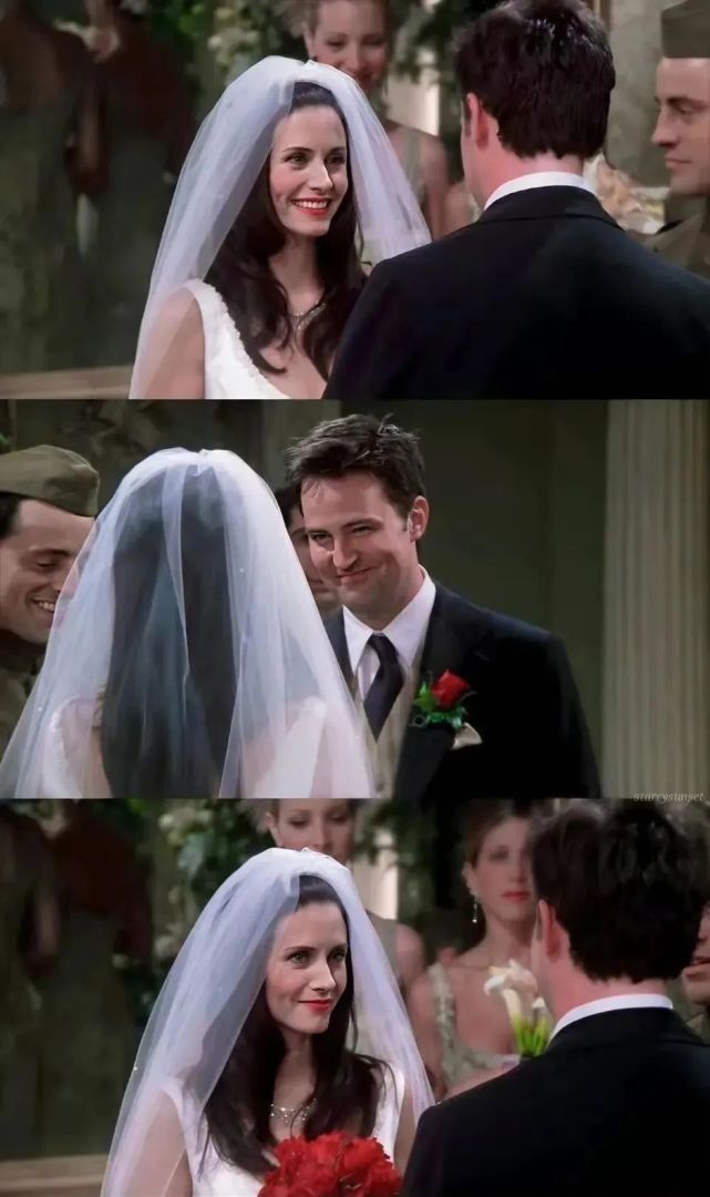 大概是带了现实的怨气,所以讨厌着剧中的人,钱德勒和莫妮卡的爱情与