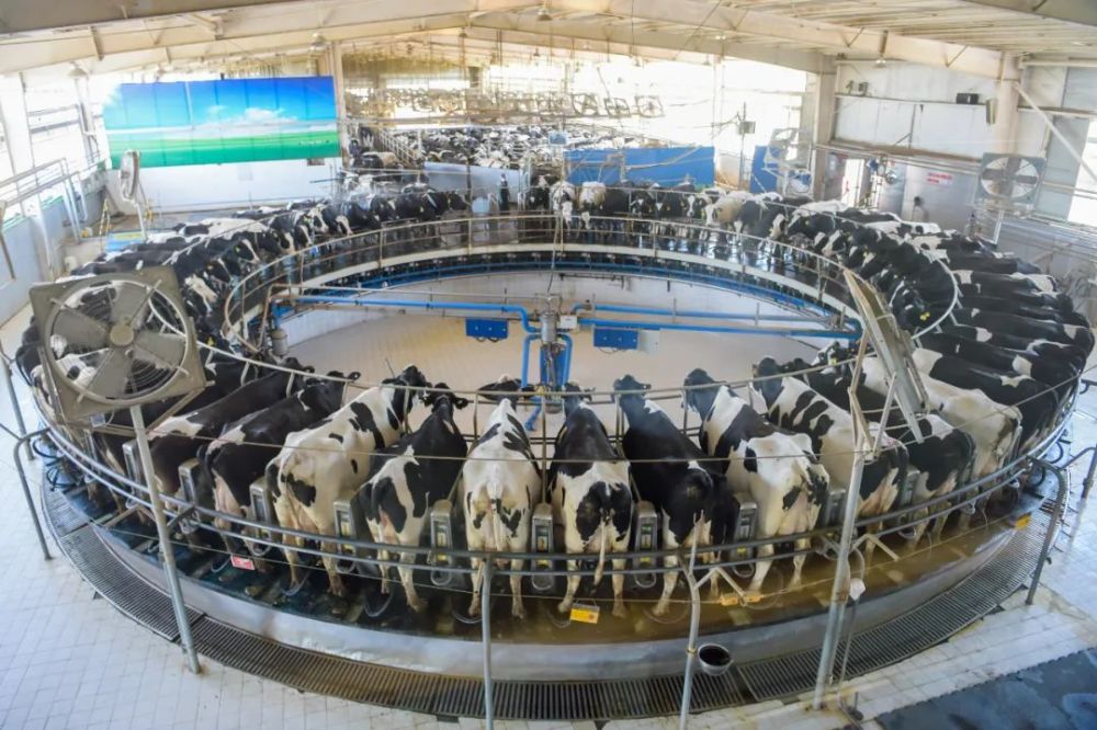 养殖业机器换人步伐加快,养殖主体组织化程度和产业集中度显著提升