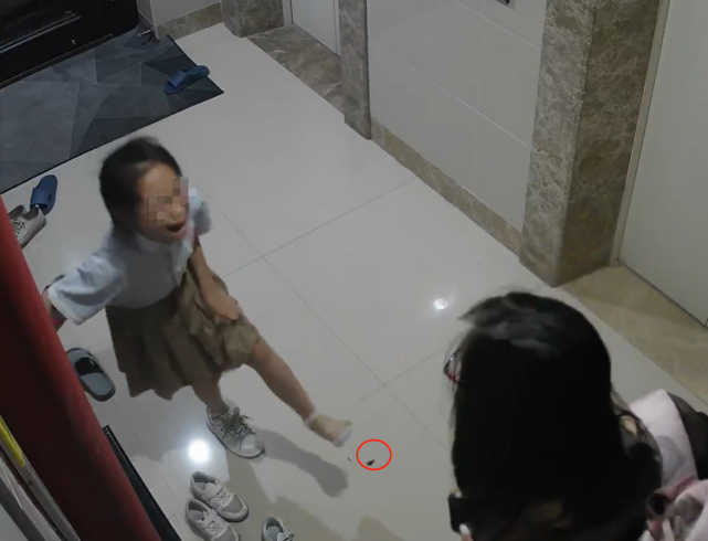 11岁女孩换鞋时掉出蟑螂,原地崩溃大哭,父亲:抱回家洗了脚才哄好