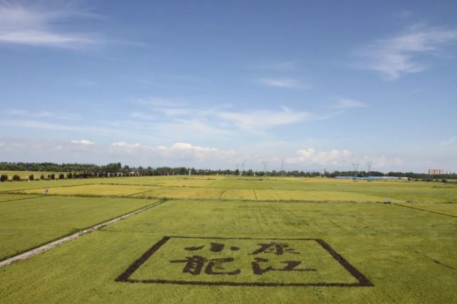 多年來,黑龍江省哈爾濱市方正縣堅持把地理標誌品牌工作作為實施鄉村