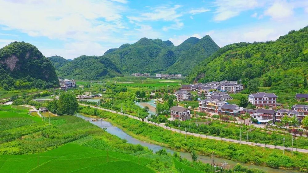 致富经鸡_致富鸡蛋批发点_致富鸡用淘汰蛋鸡赚钱