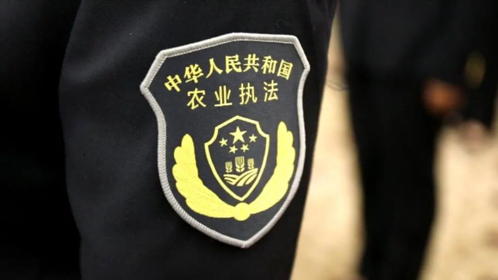 内图案由五角星,以及"中华人民共和国农业执法"字样组成臂章由盾牌