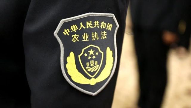以及"中华人民共和国农业执法"字样组成臂章由盾牌,松枝全体执法人员