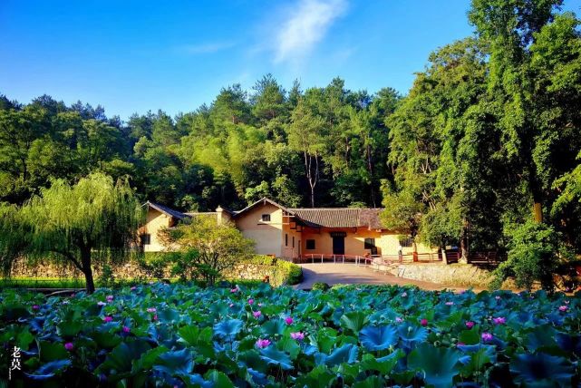 韶山人大:聚力文旅产业 助力"文旅兴城"