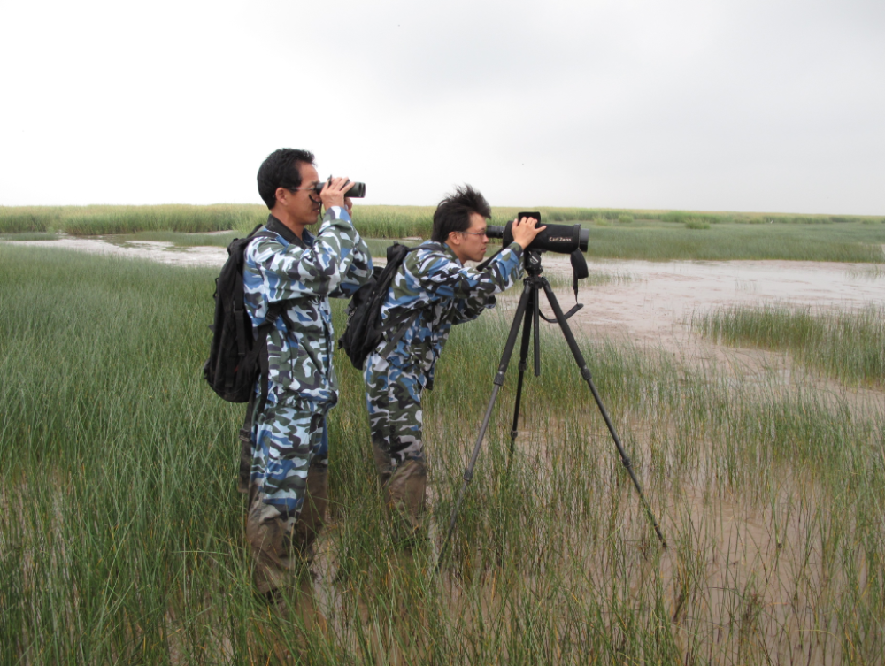 最美自然守护者|钮栋梁:守护崇明东滩 给鸟一方净土_腾讯新闻