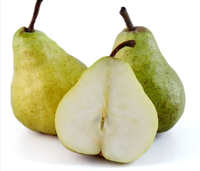 山东莱阳梨(山东莱阳梨膏的作用)