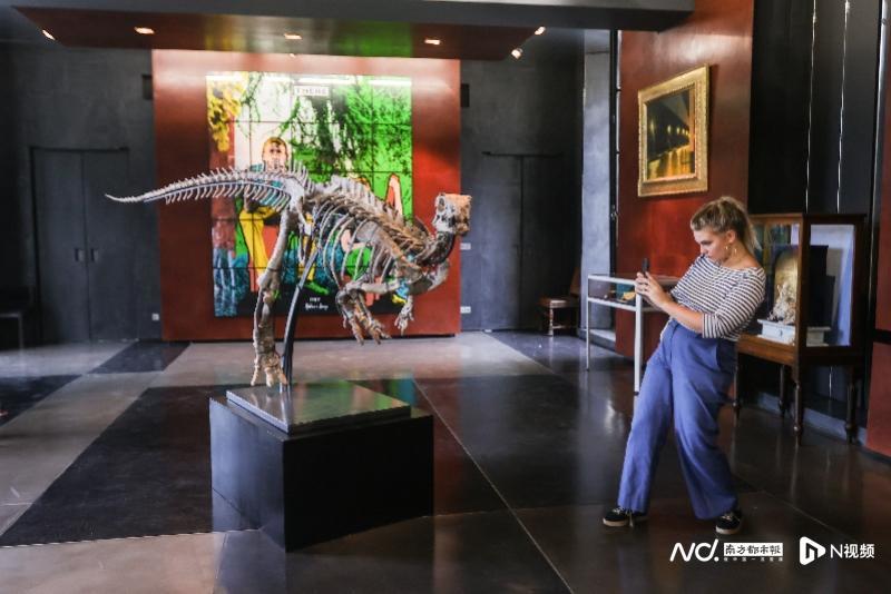 侏罗纪禽龙骨架将在巴黎拍卖，预计成交价40万至50万欧元三人英语口语对话搞笑2023已更新(头条/今日)