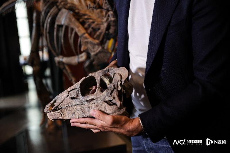 侏罗纪禽龙骨架将在巴黎拍卖，预计成交价40万至50万欧元三人英语口语对话搞笑2023已更新(头条/今日)