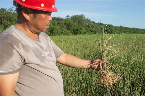 揪心！镜头记录极旱鄱阳湖：湖床干涸，草枯鱼死组织英语名词2023已更新(微博/知乎)