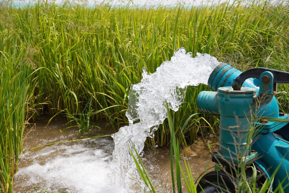 鄱阳湖畔多举措供水抗旱 保障粮食生产