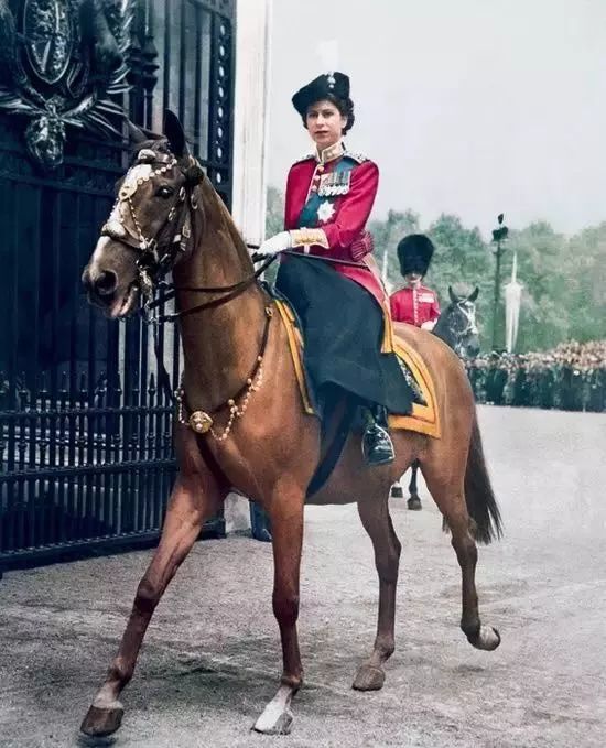 英女王伊丽莎白二世去世，英国新首相特拉斯在唐宁街外发表讲话自热黄焖鸡米饭怎么弄