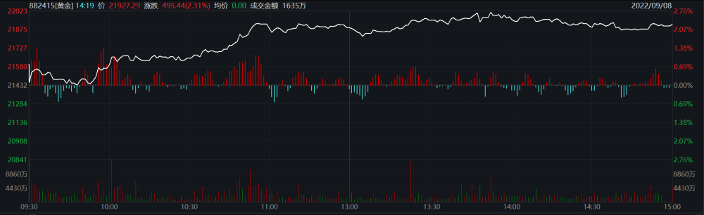 全球最大对冲基金加仓，黄金股齐涨：又到配置黄金的好时机？