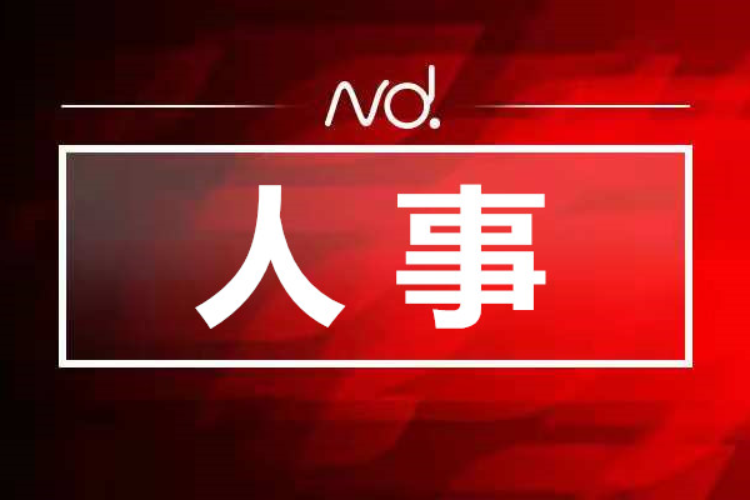 广东省政府公布最新人事任免名单