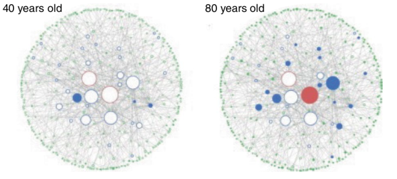 从复杂系统视角看衰老：衰老是一种涌现特征用于不同国家人的对话翻译2023已更新(微博/今日)