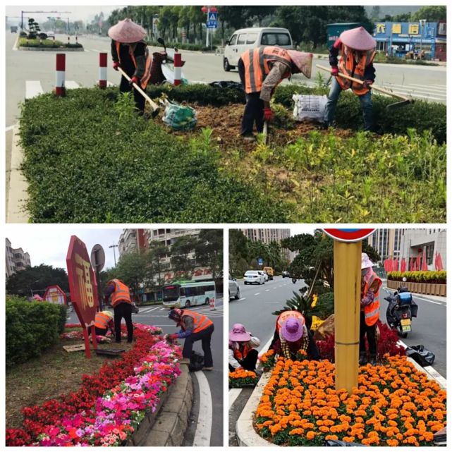 今年以来每日出动园林绿化人员约180人,补苗约76万株,修剪绿化带150万