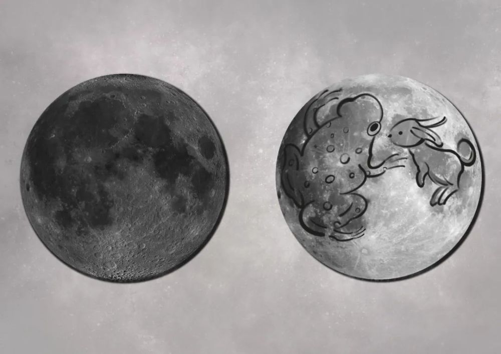 月亮上的蟾蜍和兔子图片