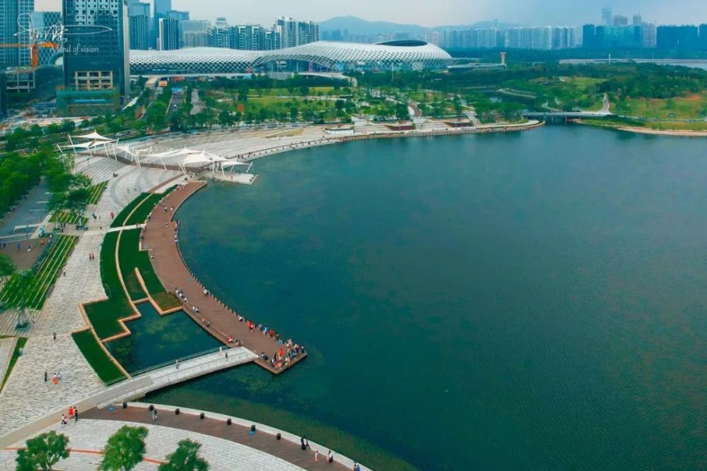 酷暑中航拍深圳人才公园风景秀美潮汐广场的圆形草坪甚是夺目