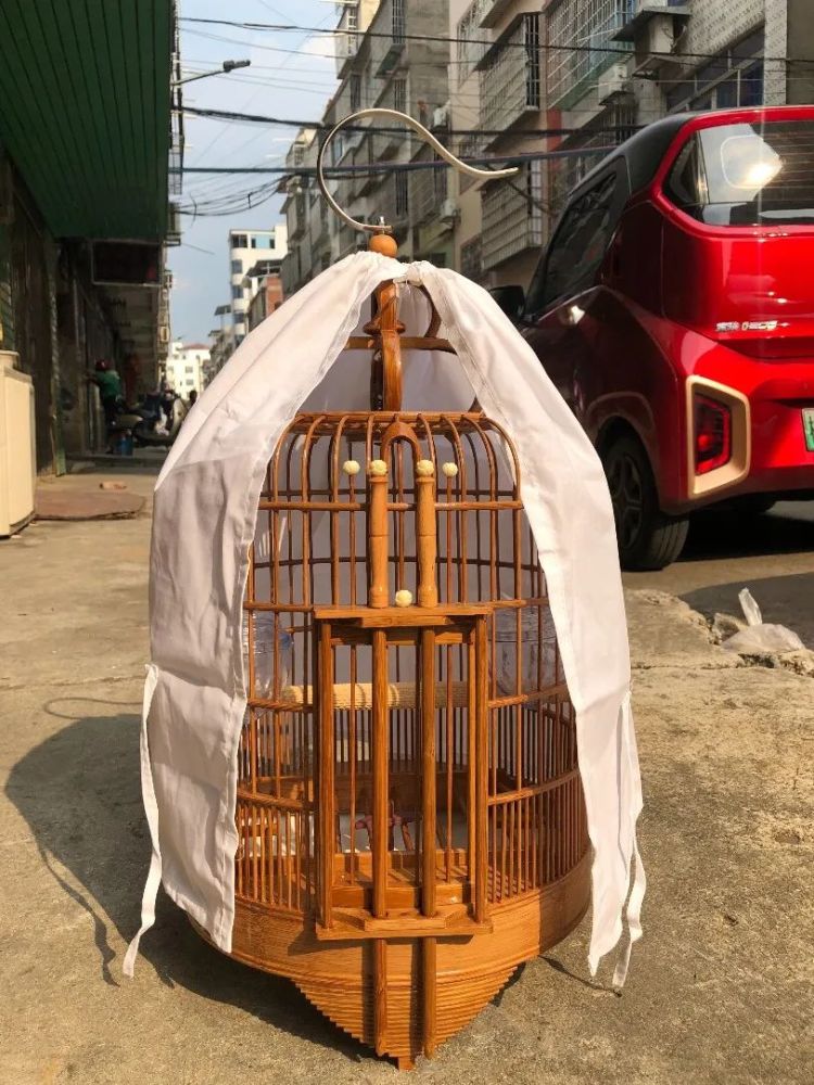 品质画眉八哥鸟笼推荐_腾讯新闻