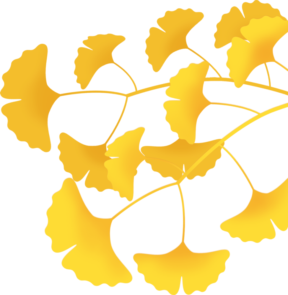 山腰青年 到底应该上山还是下山 青听 腾讯新闻