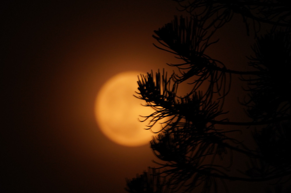 看送你一个月亮