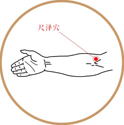 操作:用四指并拢放在肘窝之内,上下用力拍击至微微出痧.