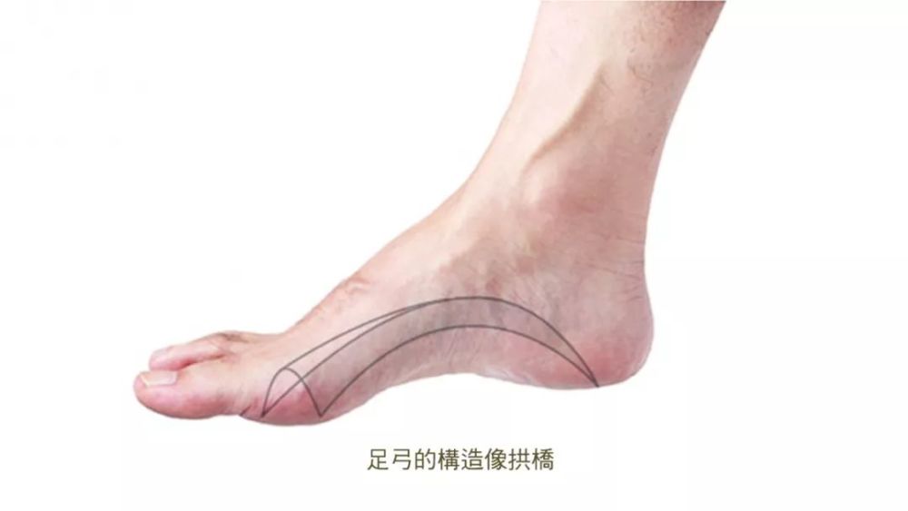 练足弓,别再只盯着"缩足","抓毛巾"了!_腾讯新闻
