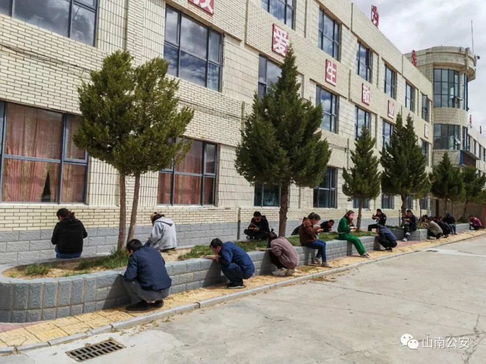 贡嘎县农村实验中学是他们集中办公的地点,他们是重返校园的"追阳人"