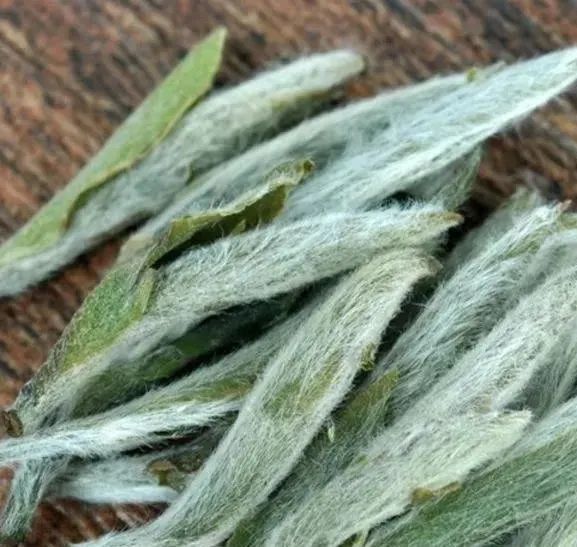 陈年白毫银针那么贵,是因为量少吗?