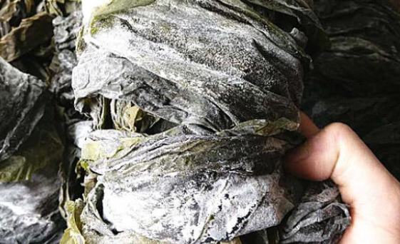 你家还在买海带吃吗?多亏干货店老板提醒,快点叮嘱家人,很重要