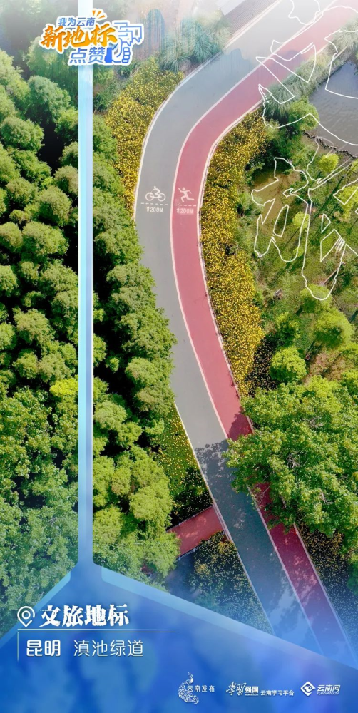 不要轻易来云南 因为 腾讯新闻