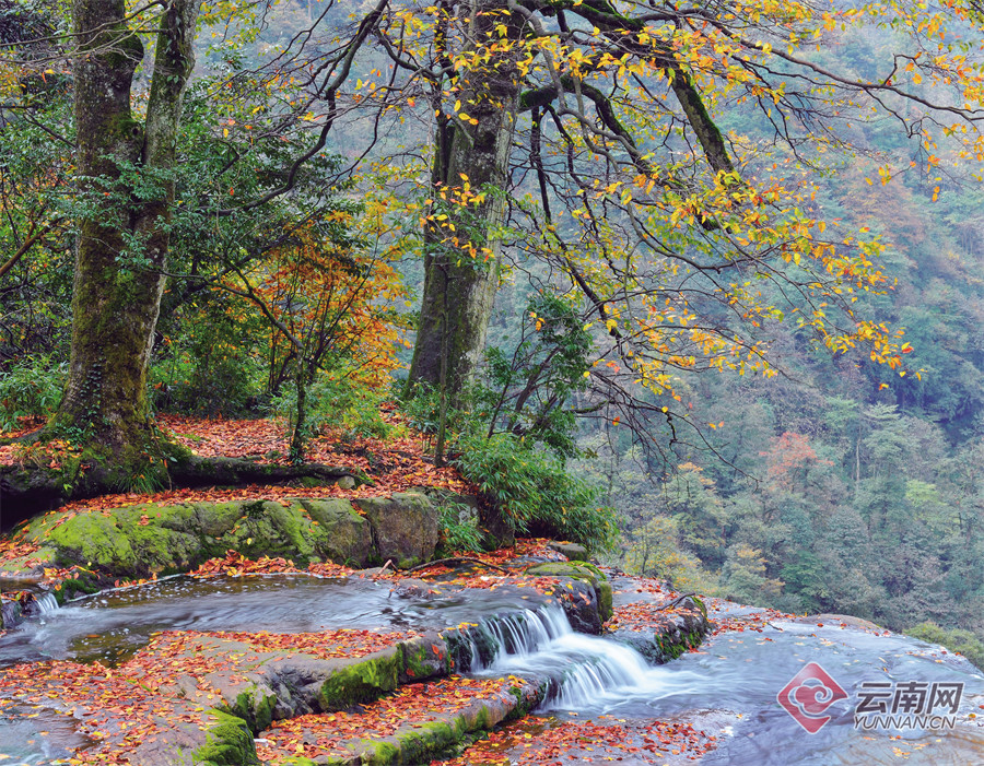早安云南|彝良小草坝:深藏乌蒙山中的奇山异水,五彩斑斓的人间秘境