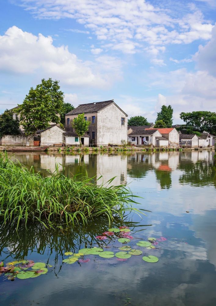苏州相城太平:人间朝暮时,荻溪已逢秋_腾讯新闻