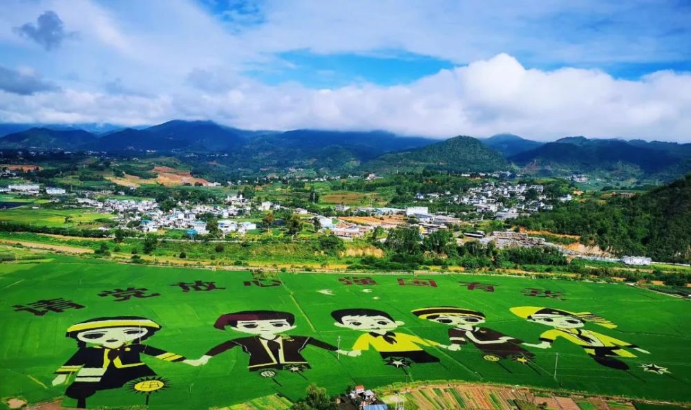 行摄云南双江稻香正当时