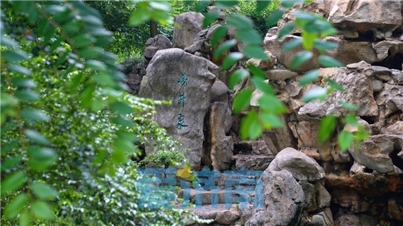 泉甲天下 云上赏泉|浅井泉:绿树掩映 串珠上涌