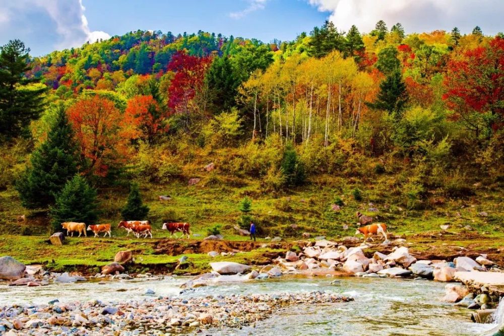 湯旺河林海奇石景區,烏帶公路,桃山懸羊峰景區,上甘嶺溪水國家森林