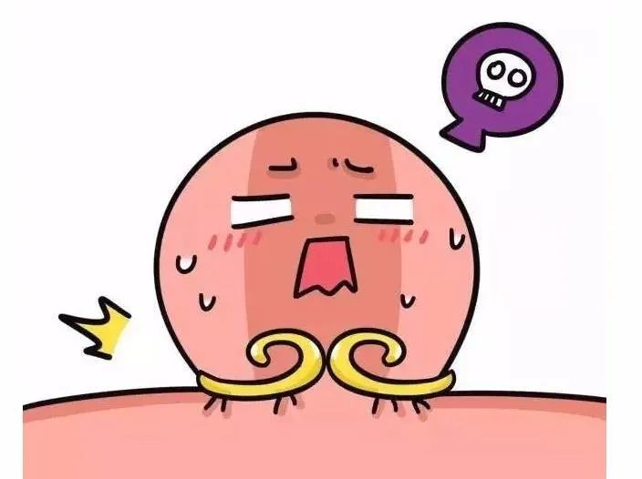 痔疮反复怎么根除经常吃它止血消肿太轻松