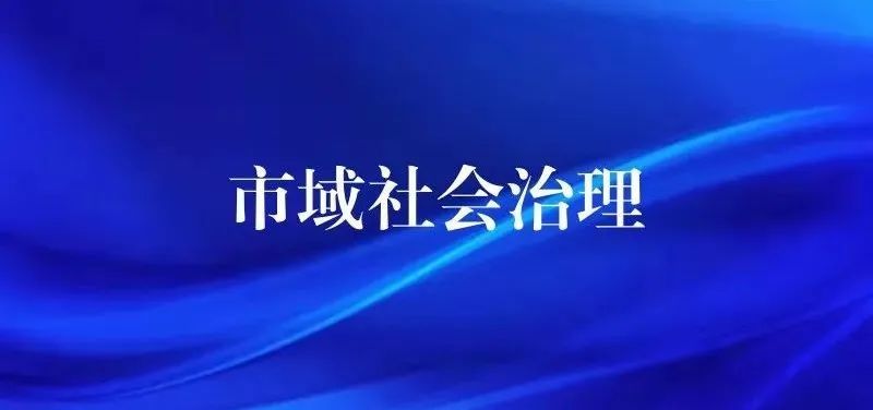 让市域成为重大社会矛盾风险终结地全国市域社会治理现代化试点创新