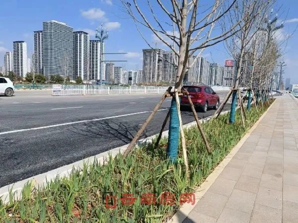 再吐槽一下巫家坝的道路