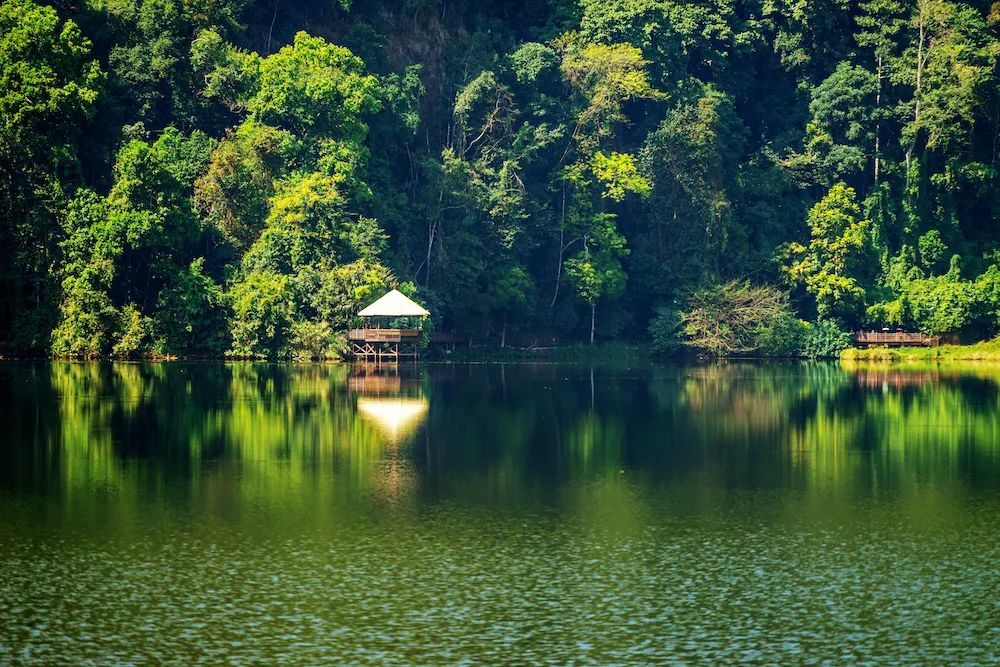 勐梭龙潭位于普洱市西盟县,是国家aaaa级旅游景区.