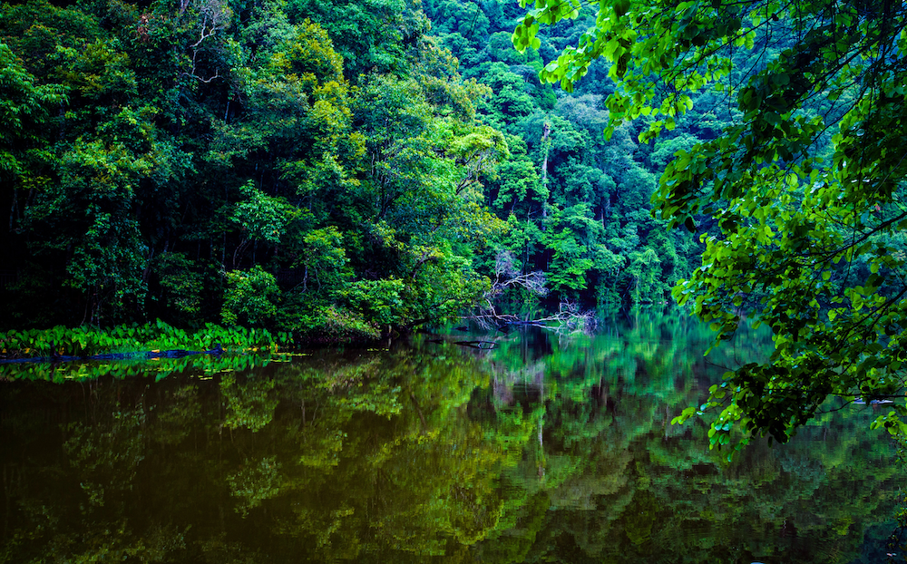 乐享云南丨美景·西盟勐梭龙潭