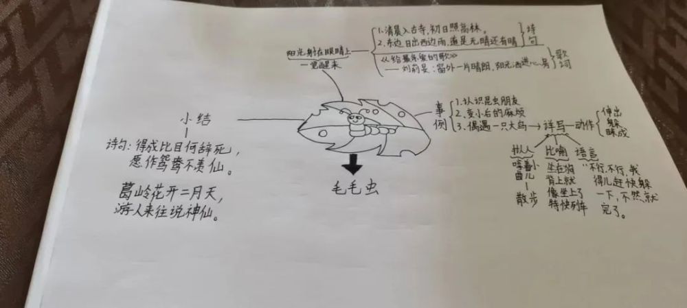 會唱也要學會聽歌,平時的作文教學就有讓學生進行思維導圖梳理提綱時