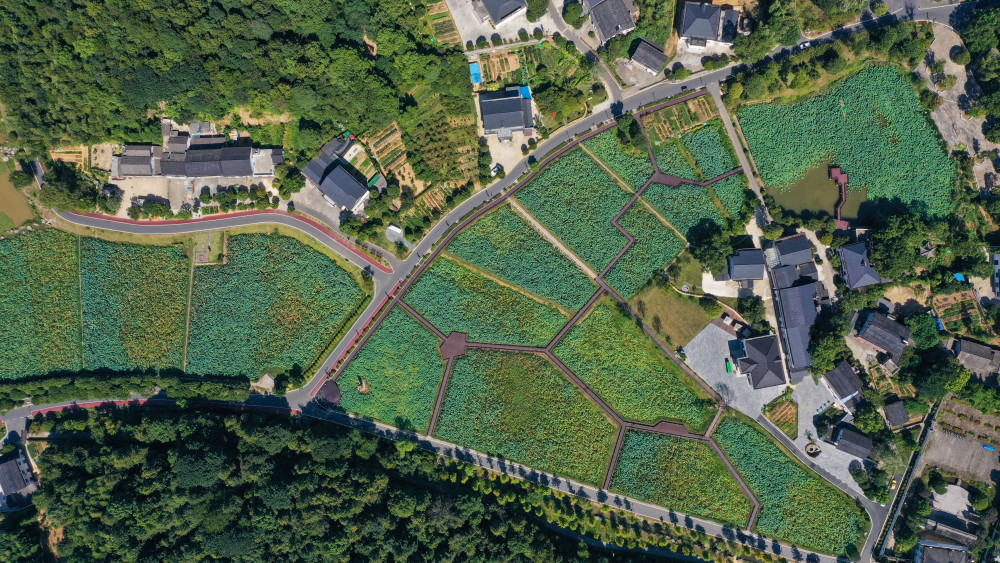 在益阳清溪村,沉浸式体验山乡巨变_腾讯新闻