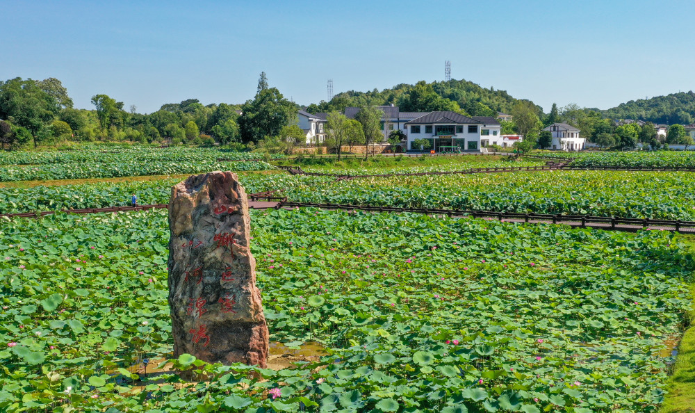 在益阳清溪村,沉浸式体验山乡巨变_腾讯新闻