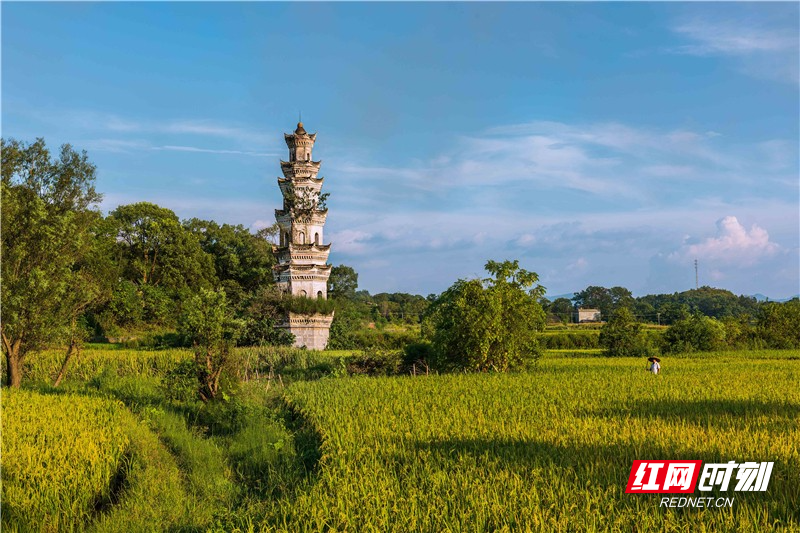 红网时刻新闻9月14日讯(记者 姜姿 通讯员 蔡小平)永州市东安县石期市